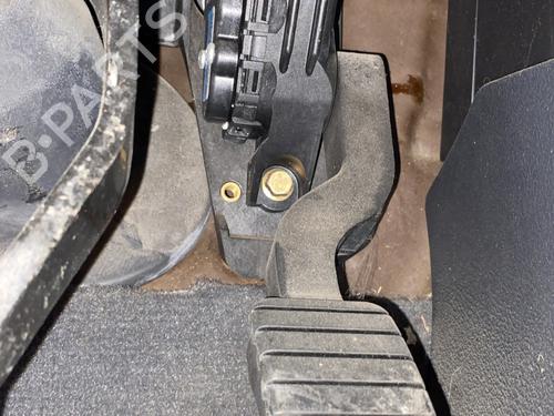 Pedal RENAULT LAGUNA II (BG0/1_) 2.0 16V (BG00, BG0K, BG0P, BG0W) | BP30150056I4