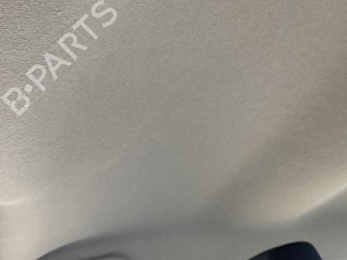 Toit intérieur RENAULT CLIO III (BR0/1, CR0/1) 1.5 dCi (BR17, CR17) (86 hp) 31836735