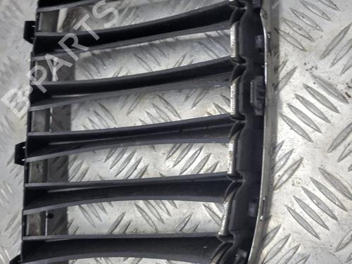 Grille BMW X1 (E84) xDrive 20 d | BP21063037C40 