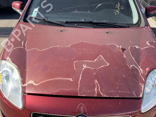 Used Hood FIAT BRAVO II (198_) 1.9 D Multijet (198AXB1A) (120 hp) 24146454