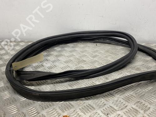 Gummiliste RENAULT MEGANE IV Hatchback (B9A/M/N_) 1.2 TCe 130 (B9MR) (130 hp) 31707312