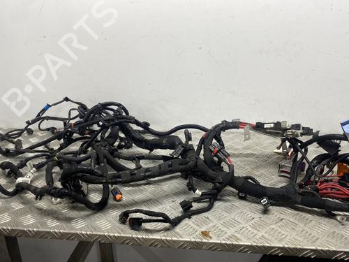 Used Wiring harness Wiring harness RENAULT KANGOO Express (FW0/1_) 1.5 dCi 95 (FW16) (95 hp) 32218224 32218224