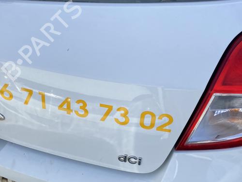 Tailgate RENAULT CLIO III (BR0/1, CR0/1) 1.5 dCi (C/BR0G, C/BR1G) | BP29422470C6 