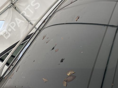 Used Sunroof Sunroof RENAULT KOLEOS I (HY_) 2.0 dCi 4x4 (HY0K) (150 hp) 31969641 31969641