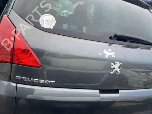 Tailgate PEUGEOT 3008 I MPV (0U_) 1.6 HDi | BP22200277C6 
