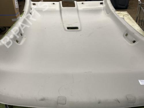 Interiør taket RENAULT MEGANE IV Hatchback (B9A/M/N_) 1.2 TCe 130 (B9MR) (130 hp) 31580881