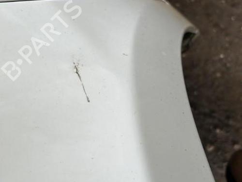 Used Left front fenders LANCIA MUSA (350_) 1.3 D Multijet (350.AXG11, 350.AXG1A) (90 hp) 22110399