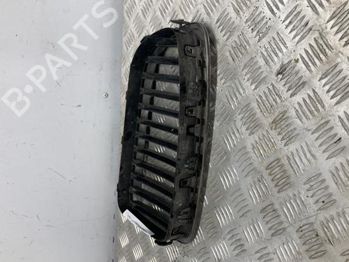 Grille BMW 5 (F10) 530 d | BP19911165C40 