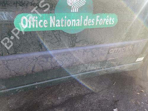 Dørliste CITROËN BERLINGO / BERLINGO FIRST MPV (MF_, GJK_, GFK_) 1.6 HDI 90 (MF9HX) (90 hp) 31041324