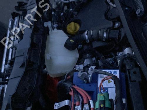 Engine RENAULT KANGOO Express (FW0/1_) 1.5 dCi 95 (FW16) | BP29959038M1