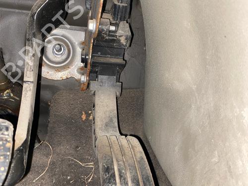 Pedal Pedal 34480016 34480016