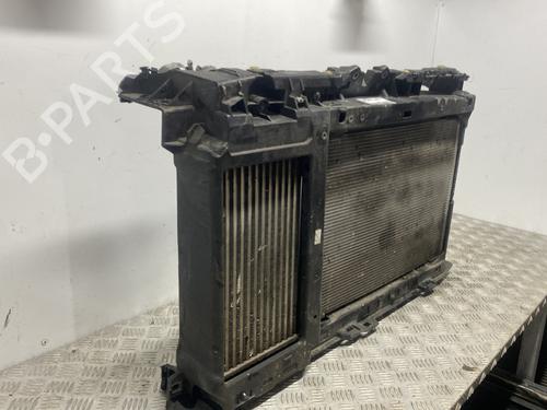 Used Front slam panel Front slam panel PEUGEOT 208 II (UB_, UP_, UW_, UJ_) 1.2 PureTech 100 (101 hp) 31093451 31093451