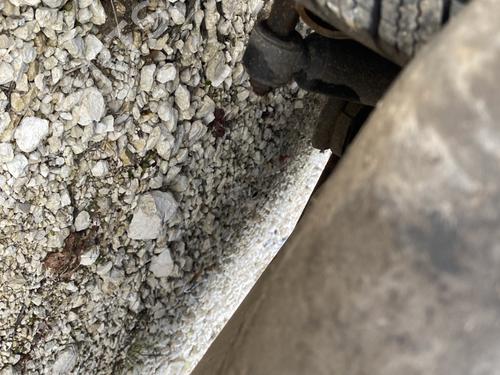 Used Rear axle Rear axle VW FOX Hatchback (5Z1, 5Z3, 5Z4) 1.4 TDI (70 hp) 31791814 31791814