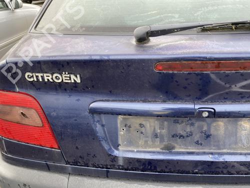 Tailgate CITROËN XSARA (N1) 1.9 D | BP31830157C6 