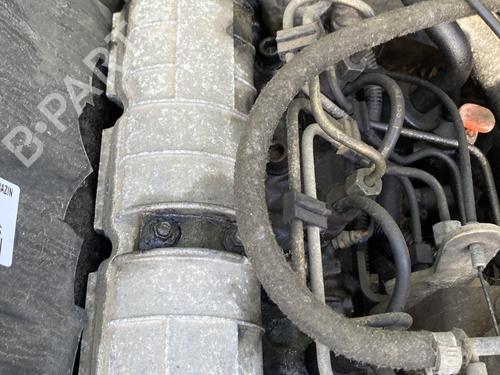 Used Cylinder head RENAULT MEGANE I (BA0/1_) 1.9 D Eco (BA0A, BA0U, BA0R) (64 hp) 33201145