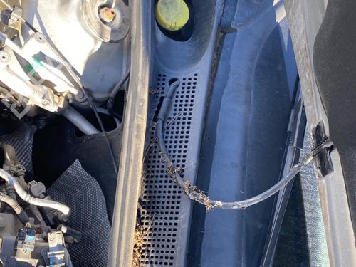 Used Scuttle panel Scuttle panel DACIA SANDERO II 1.5 Blue dCi 95 (B8JL) (95 hp) 30110018 30110018