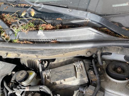 Front wiper motor RENAULT KOLEOS I (HY_) 2.0 dCi 4x4 (HY0K) | BP31969643M29