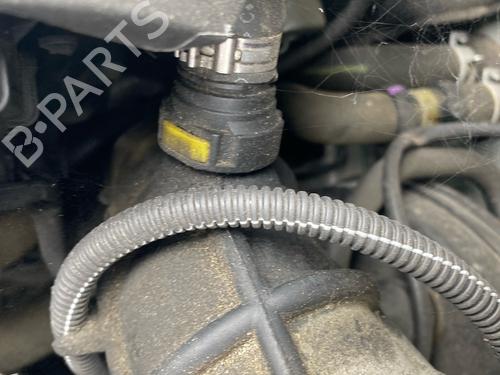 Used Pipe Pipe RENAULT CLIO III (BR0/1, CR0/1) 1.5 dCi (BR17, CR17) (86 hp) 39449210 39449210
