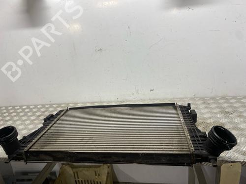 Used Intercooler Intercooler SEAT ALTEA (5P1) 1.9 TDI (105 hp) 40124409 40124409