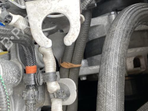 Used Alternator RENAULT SCÉNIC IV (J9_) 1.7 Blue dCi 120 (J9A7, J9A8) (120 hp) 25270694