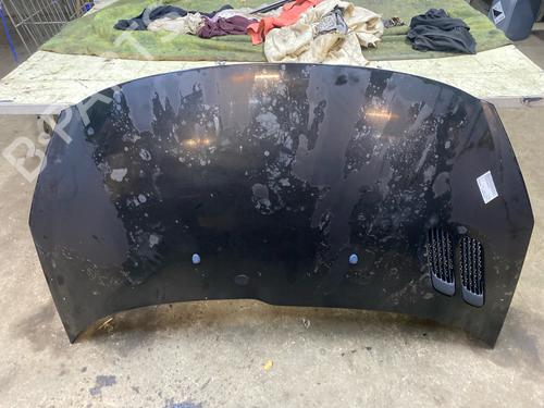 Used Hood Hood PEUGEOT 206+ (2L_, 2M_) 1.4 HDi eco 70 (68 hp) 40124495 40124495