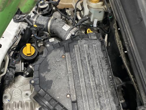 Used Engine FIAT DOBLO Cargo (263_) 1.3 D Multijet (90 hp) 29864511