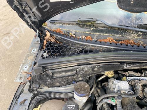 Torpedoplade Torpedoplade CITROËN C3 II (SC_) 1.4 HDi 70 (SC8HZC, SC8HR0, SC8HP4) (68 hp) 33991811 33991811