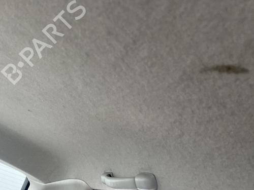 Used Interior roof Interior roof NISSAN ALMERA TINO (V10) 1.8 (114 hp) 31923514 31923514