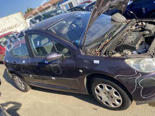 Benzintank Benzintank PEUGEOT 307 (3A/C) 1.6 16V (109 hp) 33553474 33553474