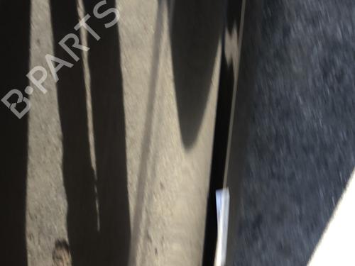 Right rear door RENAULT SCÉNIC III (JZ0/1_) 1.6 dCi (JZ00, JZ12) | BP21487944C5 