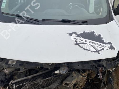Used Hood RENAULT KANGOO Express (FW0/1_) 1.5 dCi 90 (FW0G, FW05, FW08, FW11) (90 hp) 22371435