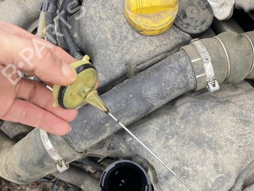 Engine RENAULT KANGOO Express (FW0/1_) 1.5 dCi 90 (FW0G, FW05, FW08, FW11) | BP32426145M1