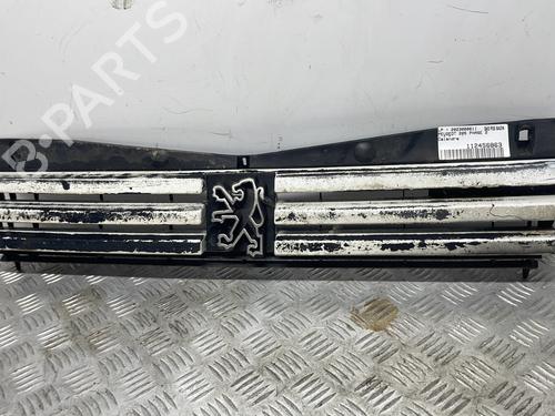 Grille PEUGEOT 205 II (20A/C) 1.7 Diesel | BP29162376C40