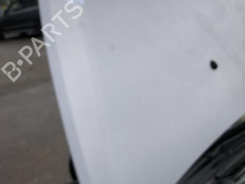 Used Hood RENAULT CLIO III (BR0/1, CR0/1) 1.4 16V (98 hp) 20174297