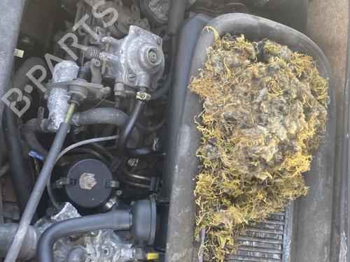 Used Engine Engine CITROËN BX (XB-_) TRD Turbo (90 hp) 33843115 33843115