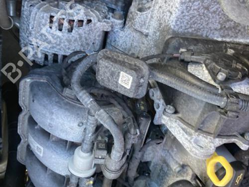 Used Engine Engine VW POLO VI (AW1, BZ1, AE1) 1.0 MPi (80 hp) 21596584 21596584