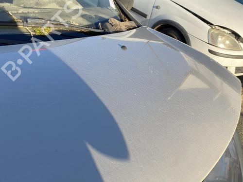 Hood RENAULT CLIO III (BR0/1, CR0/1) 1.5 dCi (BR17, CR17) | BP29571767C1 