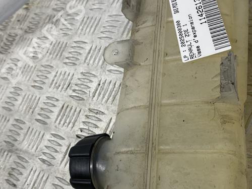 Expansion tank RENAULT ZOE (BFM_) ZOE | BP29829267C120