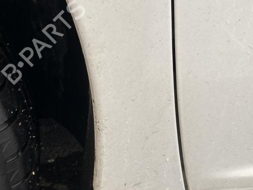 Left front fenders PEUGEOT 207 (WA_, WC_) 1.4 HDi | BP29142824C41 