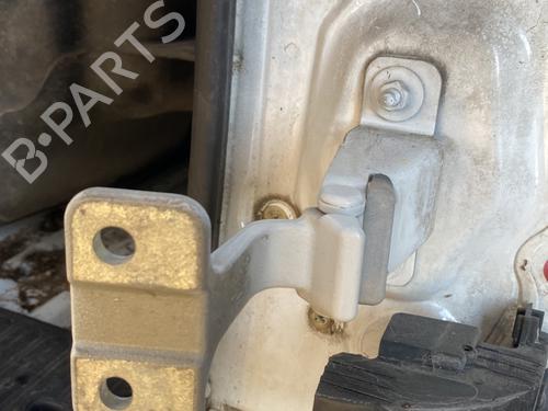 Hinge/Door check strap RENAULT KANGOO Express (FW0/1_) 1.5 dCi 90 (FW0G, FW05, FW08, FW11) | BP22127688C146 