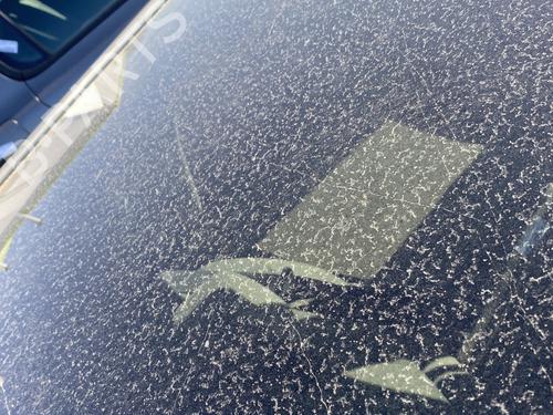 Soltag Soltag RENAULT SCÉNIC II (JM0/1_) 1.5 dCi (JM02, JM13) (101 hp) 32730608 32730608