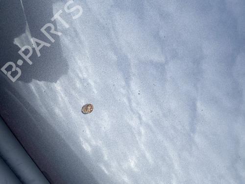 Hood VW TOURAN (1T1, 1T2) 1.9 TDI | BP28589280C1