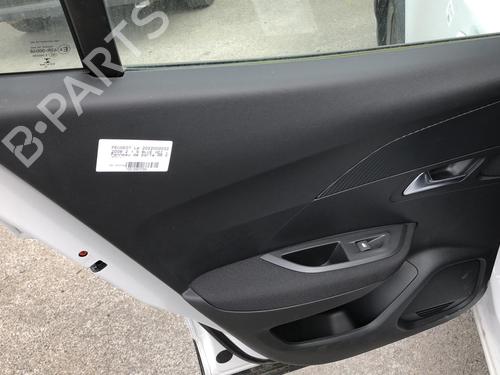 Rear left panel PEUGEOT 2008 II (UD_, US_, UY_, UJ_, UR_, UC_) 1.5 BlueHDI 110 (UDYHSK) | BP19912066C60 