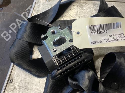 Rear right belt tensioner PEUGEOT 207 (WA_, WC_) 1.6 HDi | BP29214020C90 