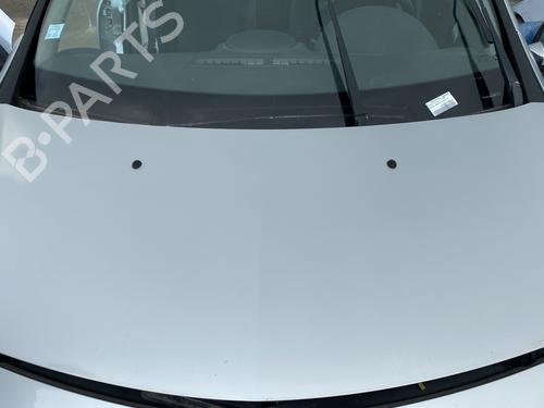 Hood RENAULT CLIO III (BR0/1, CR0/1) 1.5 dCi (BR17, CR17) | BP29282089C1 