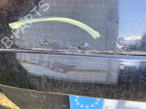 Tailgate FORD C-MAX (DM2) 2.0 TDCi | BP32629965C6 - Image 10