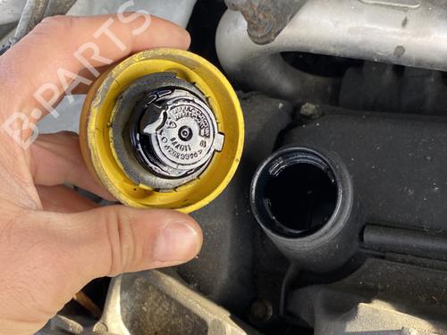 Engine RENAULT MEGANE III Hatchback (BZ0/1_, B3_) 1.5 dCi (BZ09, BZ0D, BZ1W, BZ29, BZ14) | BP29893496M1