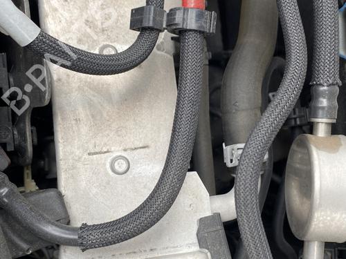 Used Intercooler Intercooler FORD FOCUS IV (HN) 1.5 EcoBlue (120 hp) 27504287 27504287