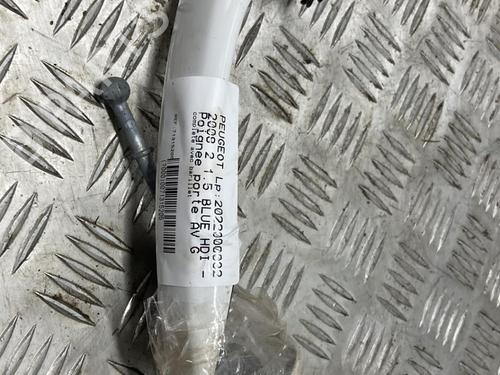Front left exterior door handle PEUGEOT 2008 II (UD_, US_, UY_, UJ_, UR_, UC_) 1.5 BlueHDI 110 (UDYHSK) | BP19911973C128