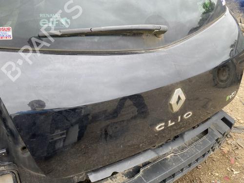 Tailgate RENAULT CLIO III (BR0/1, CR0/1) 1.5 dCi | BP22122684C6